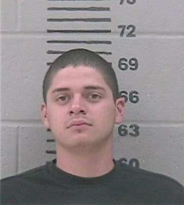 Rosales Daniel - Gillespie County, TX 