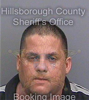 Ramireztorres Fernando - Hillsborough County, FL 