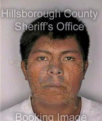 Gomez Fernando - Hillsborough County, FL 