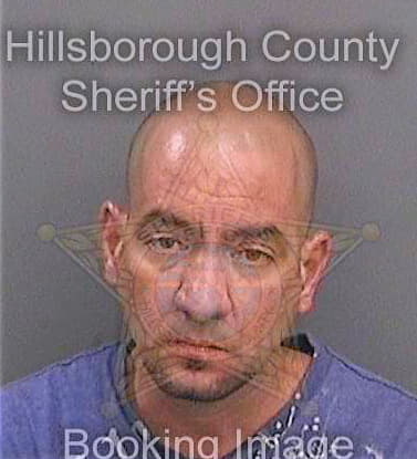 Leonmartinez Giordany - Hillsborough County, FL 