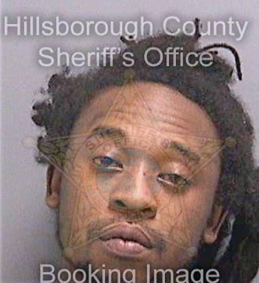 Davis Lewis - Hillsborough County, FL 