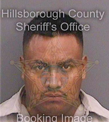 Hernandezbautista Martin - Hillsborough County, FL 