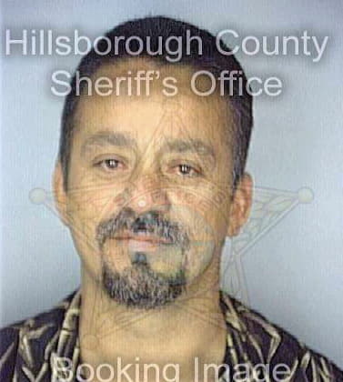 Melendez William - Hillsborough County, FL 