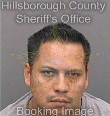 Sanchezhernandez Fernando - Hillsborough County, FL 