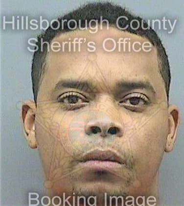 Davis James - Hillsborough County, FL 