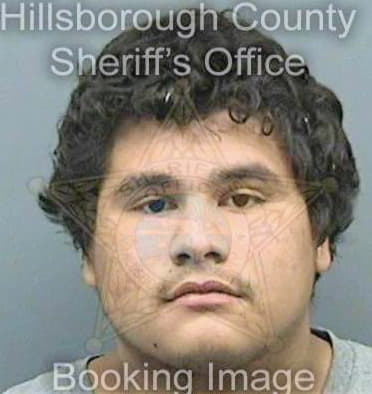 Hernandez Rufino - Hillsborough County, FL 