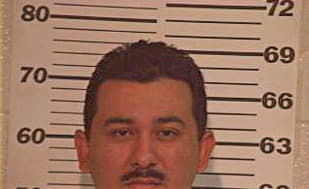 Hernandez Lazaro - Hidalgo County, TX 