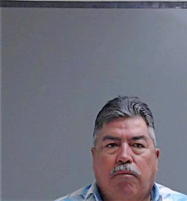 Diaz Raul - Hidalgo County, TX 