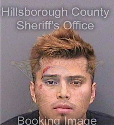 Campos-Gutierrez Mauricio - Hillsborough County, FL 