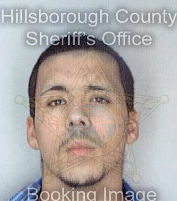 Melendez Hector - Hillsborough County, FL 