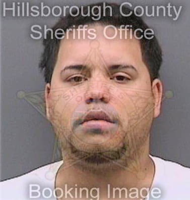 Bosqueramirez Jose - Hillsborough County, FL 
