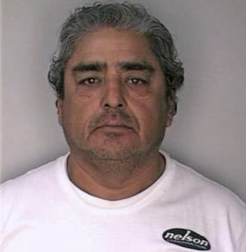 Tovar Mario - Hillsborough County, FL 