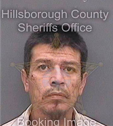 Torres Ismael - Hillsborough County, FL 