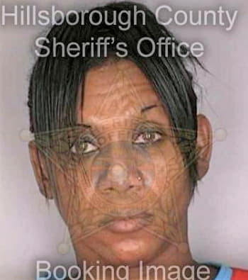 Mcmiller Vincent - Hillsborough County, FL 