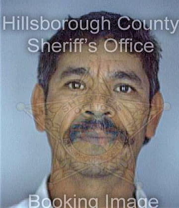 Guerrero Martin - Hillsborough County, FL 