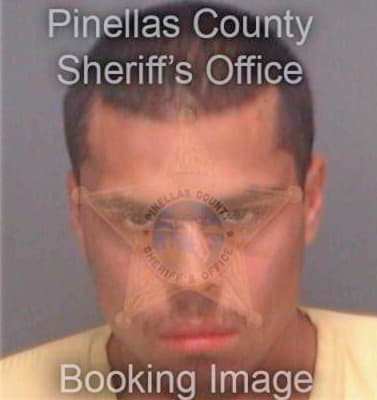 Martinez Moises - Pinellas County, FL 