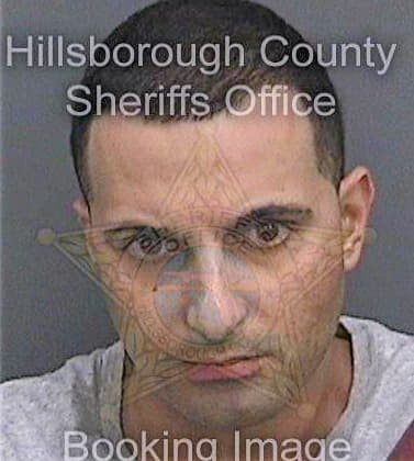 Salem Amir - Hillsborough County, FL 