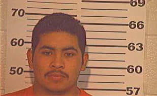 Delarosa Luis - Hidalgo County, TX 