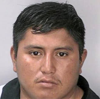 Mendoza Daniel - Hillsborough County, FL 
