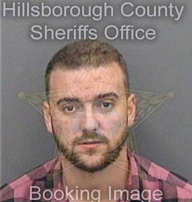 Saliaj Enea - Hillsborough County, FL 