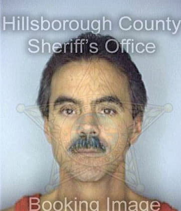 Ritchie Steven - Hillsborough County, FL 