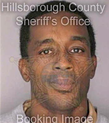 Sirmons Calvin - Hillsborough County, FL 