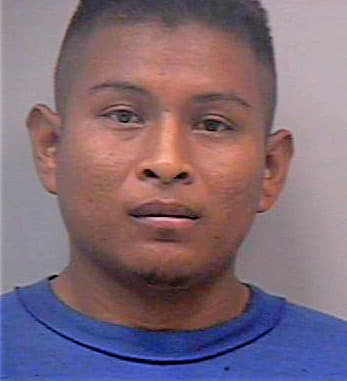 Carrillo Castro - Gwinnett County, GA 