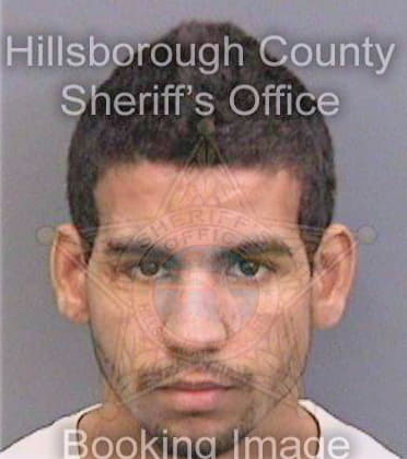 Cid Jonathan - Hillsborough County, FL 