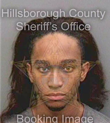 Hamilton Jeremiah - Hillsborough County, FL 