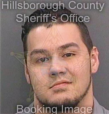 Gaviriavelasquez Daniel - Hillsborough County, FL 