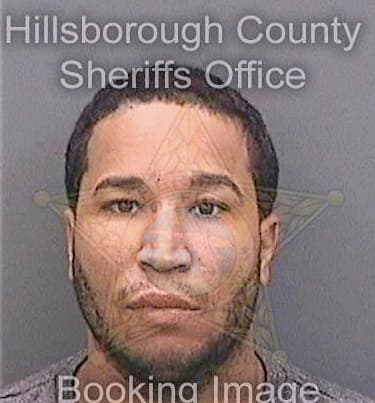 Lorenzoguzman Manuel - Hillsborough County, FL 