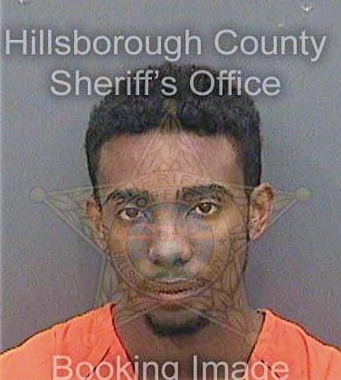 Davis Brian - Hillsborough County, FL 