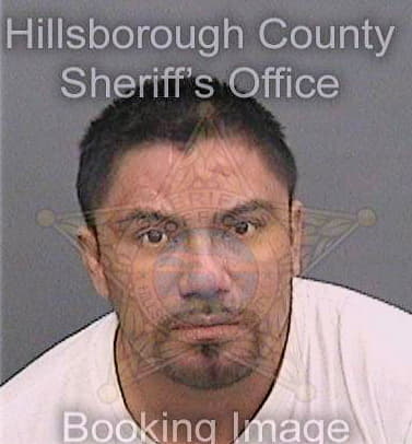 Gonsalez Bernabe - Hillsborough County, FL 