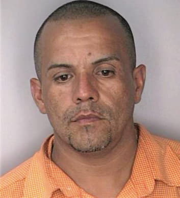 Sermeno Carlos - Hillsborough County, FL 