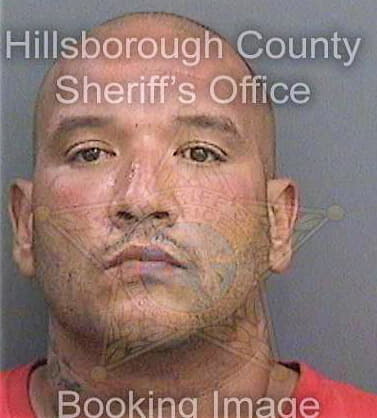 Reyes Felix - Hillsborough County, FL 