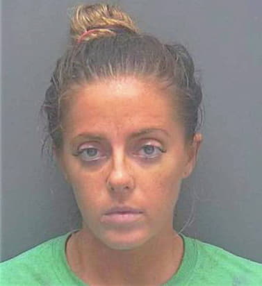 Stegmaier Kelly - Lee County, FL 