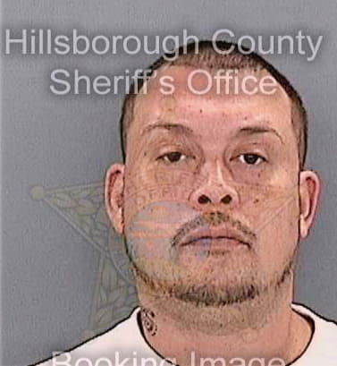 Gonzalez Antonio - Hillsborough County, FL 