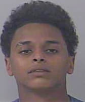 Mohamed Ahmed - StLucie County, FL 