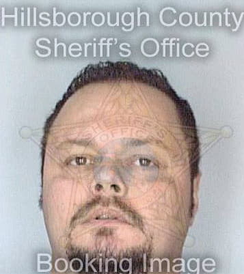 Milic Borivoje - Hillsborough County, FL 