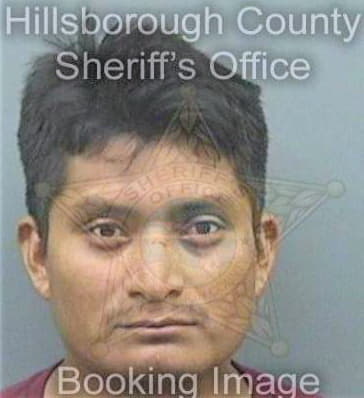 Mendezhernandez Manuel - Hillsborough County, FL 