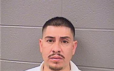 Huitron Jose - Cook County, IL 