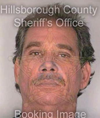 Nigro Robert - Hillsborough County, FL 