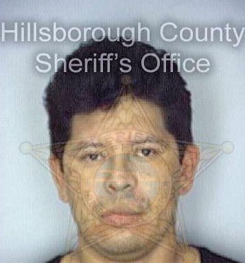 Vazquez Fernandez - Hillsborough County, FL 