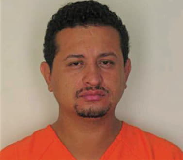 Segurahernandez Luis - Hillsborough County, FL 