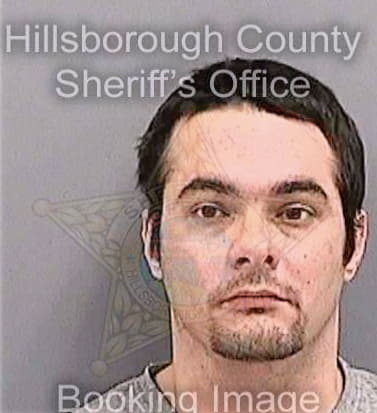 Lewis William - Hillsborough County, FL 