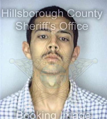 Carnathan James - Hillsborough County, FL 