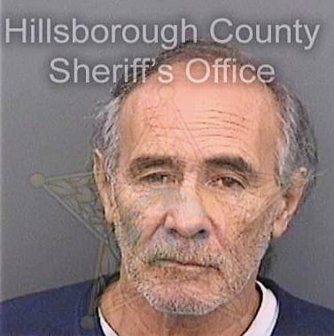 Diaztorres Hector - Hillsborough County, FL 