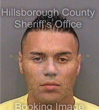 Cuevas Josue - Hillsborough County, FL 