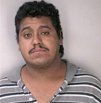 Perez Juan - Hillsborough County, FL 