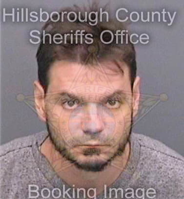 Borgespivi Richard - Hillsborough County, FL 